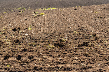 dark soil from a farming land in Uster, Switzerland