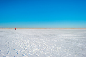 Ice skating on a white frozen lake in wetland under a blue bright in winter, Almere, Flevoland, The Netherlands, February 13, 2020