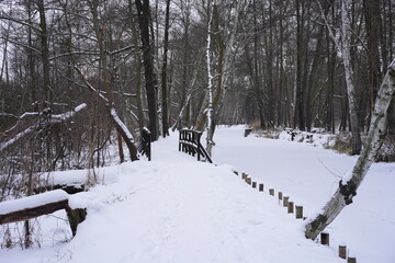 Wanderung an einem vereisten, schneebedecktem Fließgewässer im Spreewald