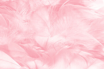 Beautiful light pink feather pattern texture background