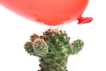 Cactus and air balloon on white background