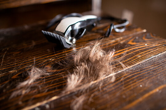 Side angle of freshly cut hair and clippers resting on a chair