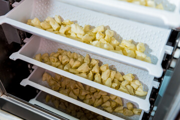Conveyor line for packing snacks and chips in a modern factory