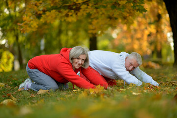 Naklejka na ściany i meble fit senior couple exercising in park