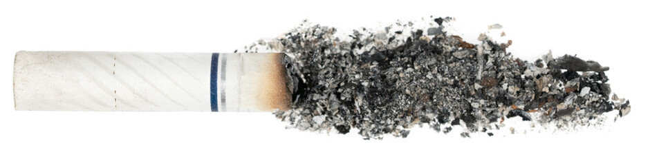 Cigarette butt with ash isolated on white background. goby consumed cigarettes. Stop smoking