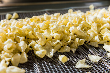 Conveyor line for frying snacks and chips in a modern factory