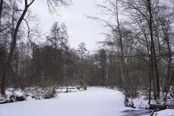 Weiße winterliche Flusslandschaft im Spreewald bei Lübbenau