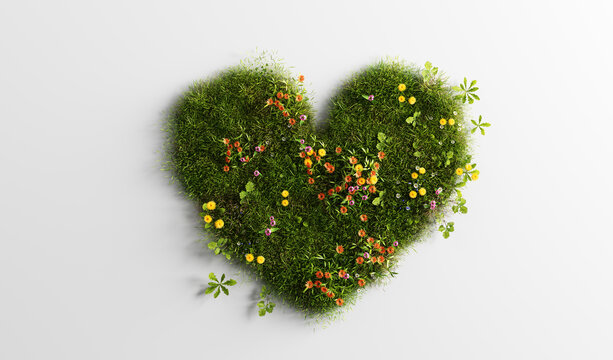 Green grass with spring summer flowers in heart shape