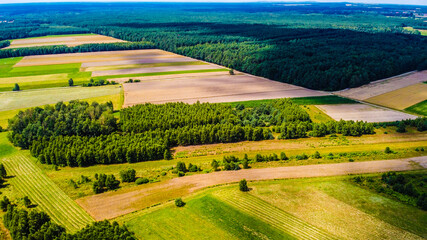 Fototapeta na wymiar The view of the forest and fields from the drone perspective. Picture from the air.