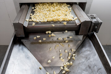 Conveyor line for frying snacks and chips in a modern factory