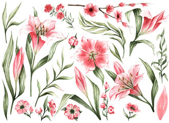 Set of watercolor flowers. Pink lilies, sakura, green leaves. Great for stickers, designs, books, cards, holiday packaging, invitations, scrapbooking, and more