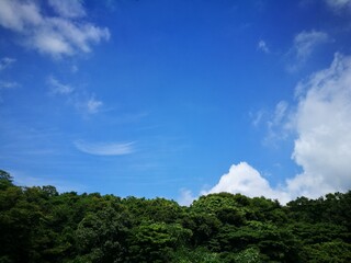 blue sky and clouds