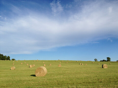 Hay bales on grassy field against blue sky - Powered by Adobe