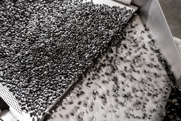 Roasted sunflower seeds equipment at modern factory