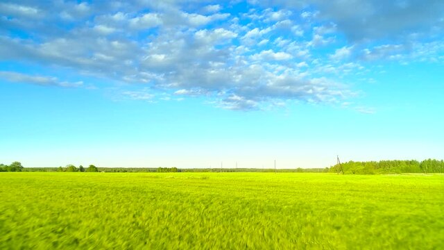 Beautiful countryside, aerial forward motion view over agricultural scenery with green barley field, sunny day blue sky horizon