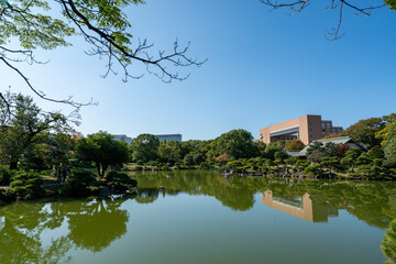 冬の清澄庭園と青空の風景