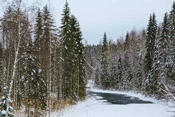 Obraz na płótnie Canvas winter landscape with forest river