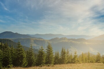 Naklejka na ściany i meble Morning sunny day is in mountain landscape. Carpathian, Ukraine, Europe. Beauty world. Large resolution
