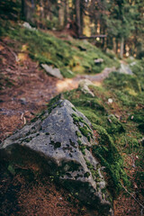 A close up of a rock a mountain