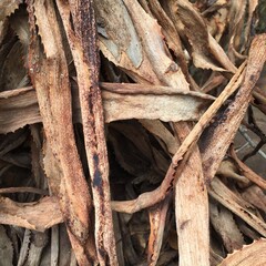dead leaves texture