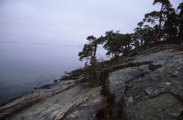  Landschaft am Oslo-Fjord (Hvervenbokt) nahe dem Vorort Holmlia bei Oslo *