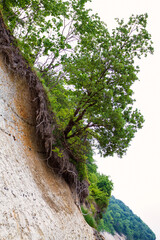 Rügener Kreideküste