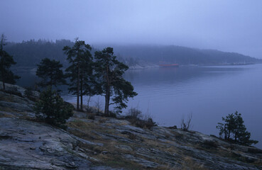 snph01597.jpg