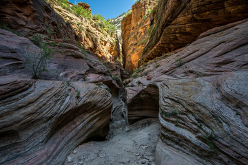 Canyon in Zion Nationalpark 