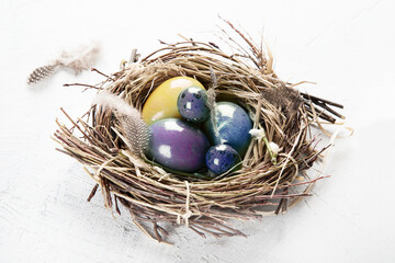 Naklejka na ściany i meble Easter eggs in nest. Easter concept