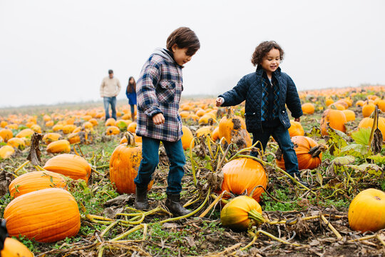Family walking at pumpkin patch during foggy weather