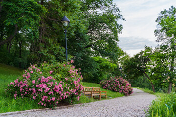 Spring view in Letna Park, Prague, Czech Republic. Spring in Praha , beautiful Letna park Letenske sady in sunlight, sunny landscape, popular tourist destination, Prague, Czech Republic