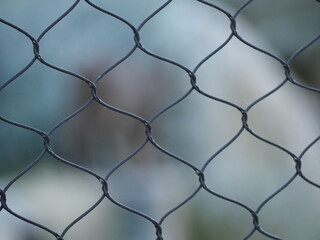 Fototapeta premium verja con desenfoque zoo de madrid