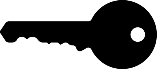 Vector illustration of the key