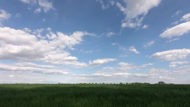 Clear sky over emerald green field. Time Lapse: Green fields with cloud moving and blue sky.
