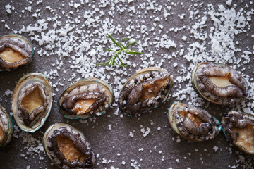 Fresh raw abalone and salt on marble 