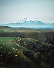 Russia, Caucasus, Dombay, View of Mount Elbrus in dyke from the Gumbashi observation deck