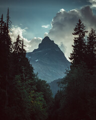 Russia, Caucasus, Dombay, Belalakaya mountain in the evening light between pines and firs