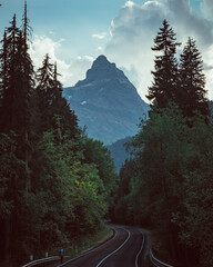 Russia, Caucasus, Dombay, Belalakaya mountain in the evening light between pines and firs