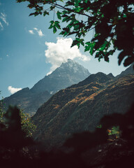Russia, Caucasus, Dombay, Belalakaya mountain, view from the forest in sunny weather
