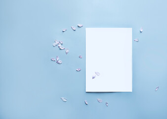 Top view of a white card mockup with almond flowers petals on blue background. 
