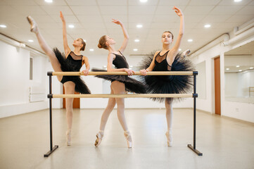 Elegant teen ballerinas poses at barre in class