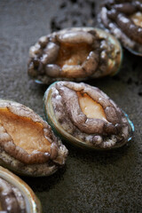 Fresh raw abalone on marble 