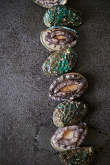Fresh raw abalone on marble 