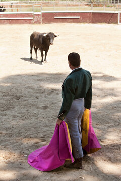 Toreador Dennis Borba face to face with a bull at his bullfighting school in Escalon