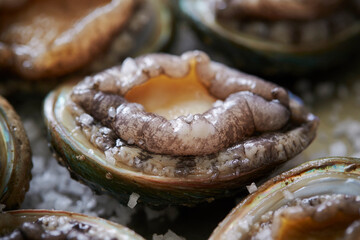 Fresh raw abalone on marble 