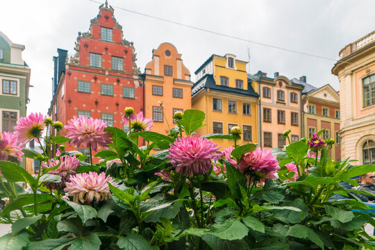Stortorget at Gamlastan the old medeival town in Stockholm