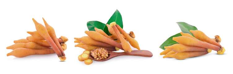 Fingerroot, Kaempfer, Boesenbergia on white background