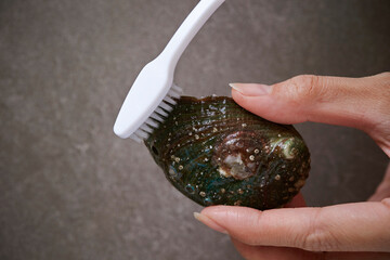 Fresh raw abalone being cleaned with a toothbrush