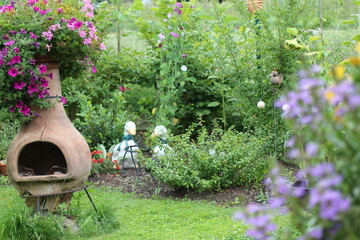 Pflanzen und Blumen in der Natur auf einer Blühwiese Mut strukuren