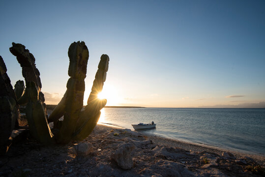 A boat in a beach at Del Carmen Island in Loreto Bay
